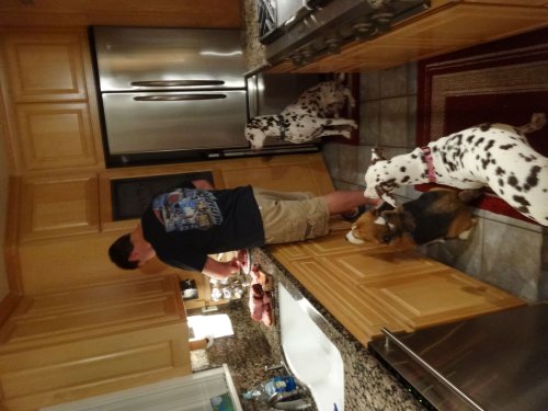 Jonny getting help fro dogs as he carves the Christmas ham