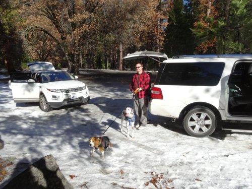 Jonny and dogs