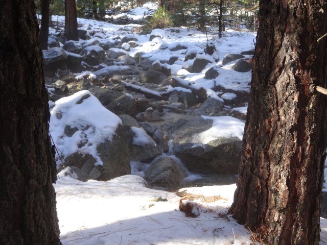 stream in valley