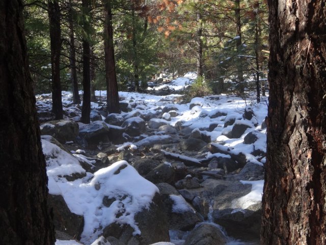 stream in valley