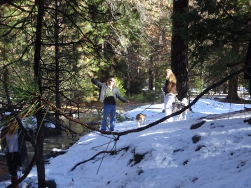 dad, Missy and dogs