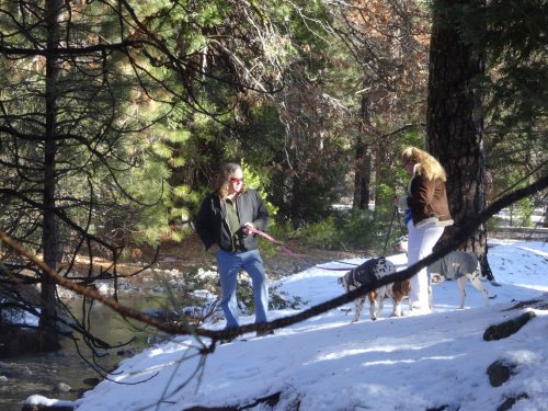 dad, Missy and dogs