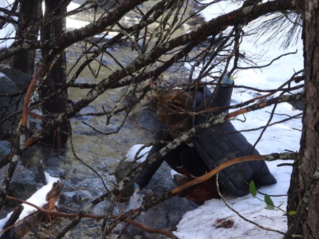 creek in valley