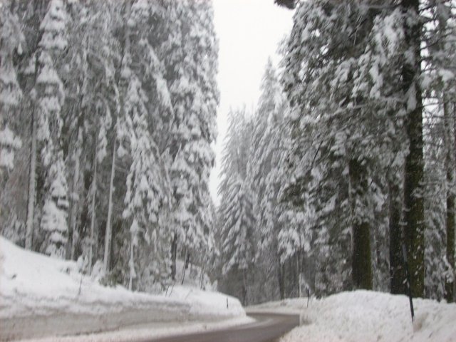 Snow on the way back from Yosemite Valley 