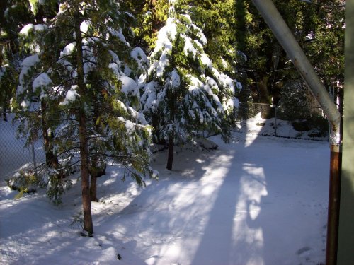 Snow in backyard 