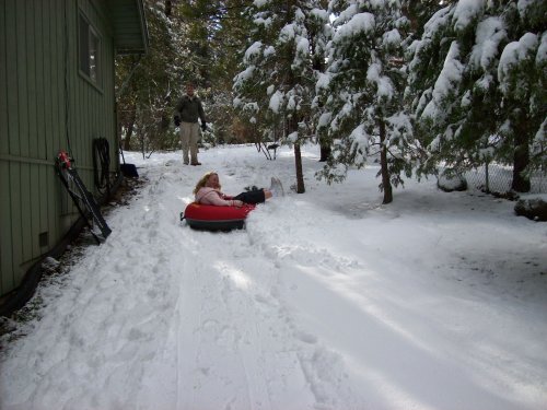 Melissa in tube 