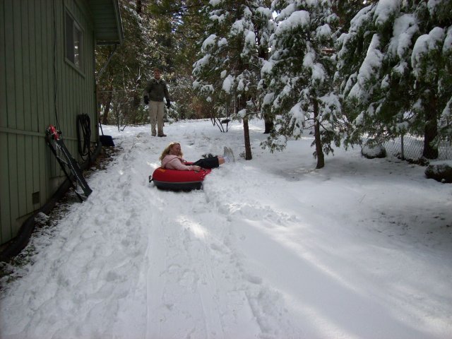 Melissa in tube 