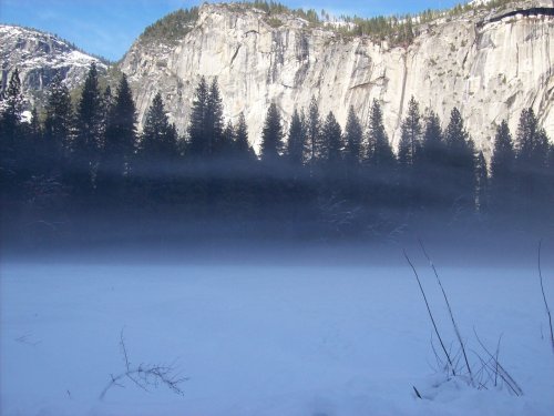 Mist over meadow by Camp Curry 