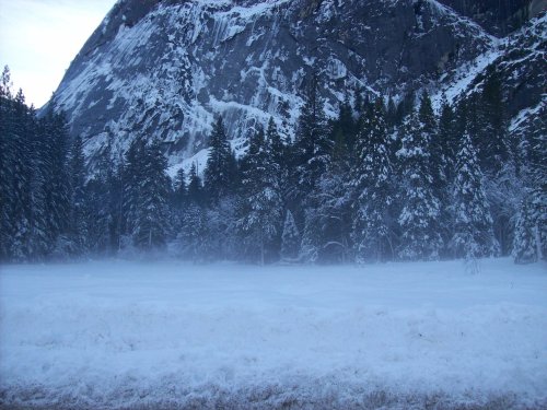 Mist over meadow by Camp Curry 