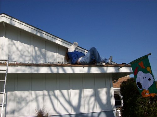 Jon taking down Christmas lights 