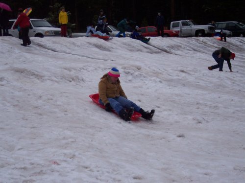 Melissa on the sled 