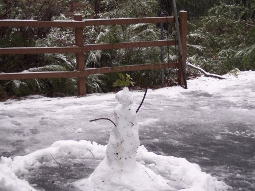 Our snowman 