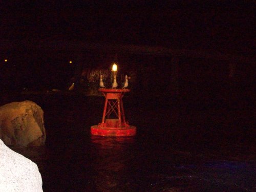 Seagulls on buoy in Tomorrowland 