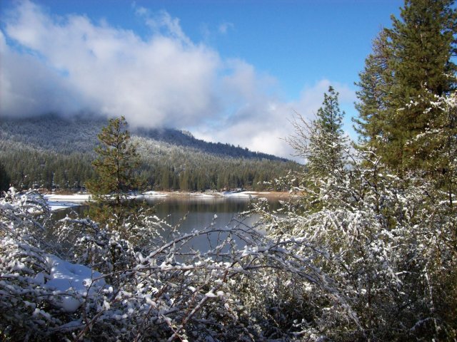 Bass Lake snow scene 