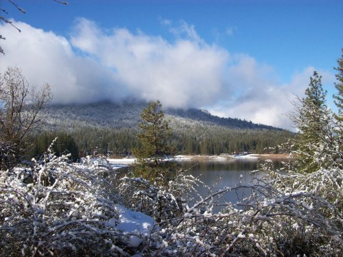 Bass Lake snow scene 