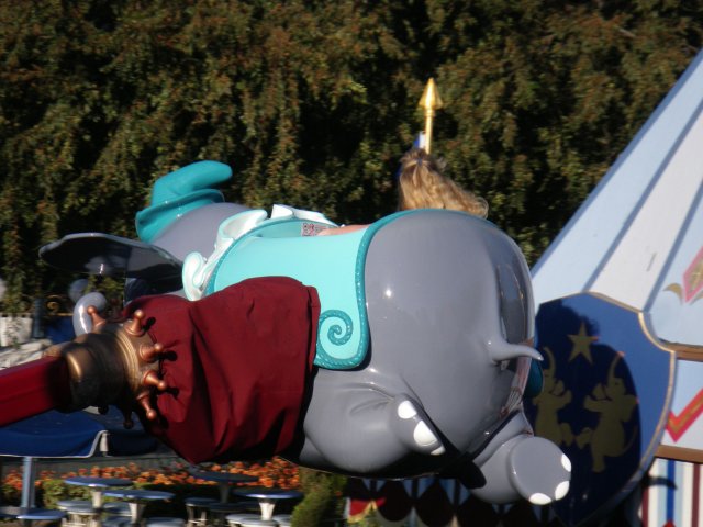 Melissa flying her elephant 