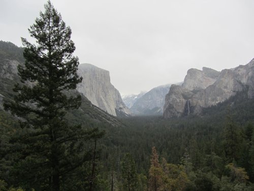 Yosemite Valley 