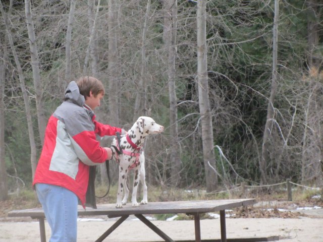 Jonny and Dixie 
