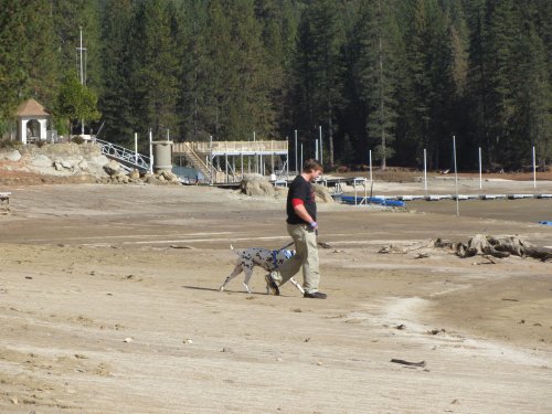 Jonny and Lucky walking down by the lake 