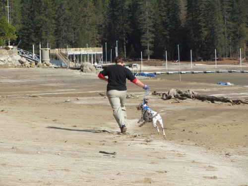 Jonny and Lucky running 