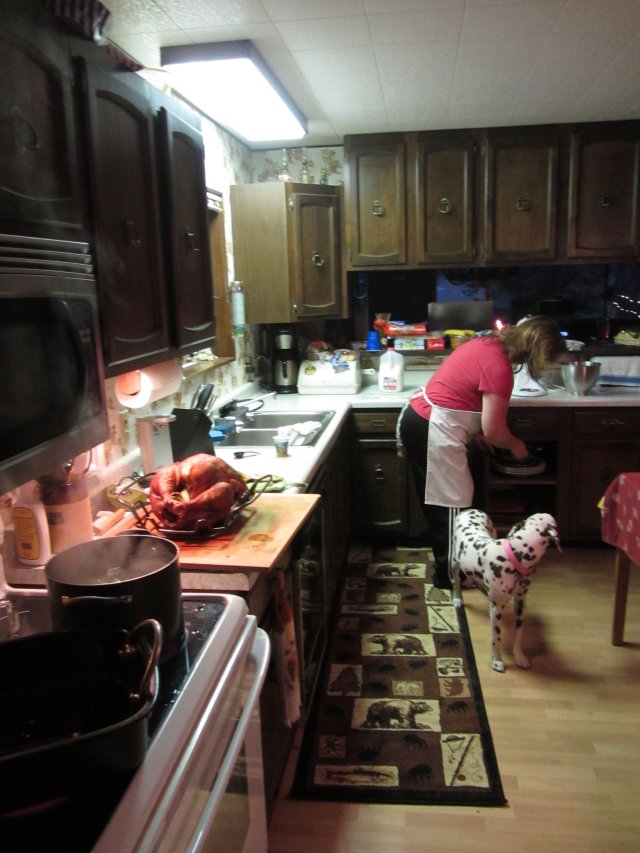 Dixie trying to help with Thanksgiving dinner 