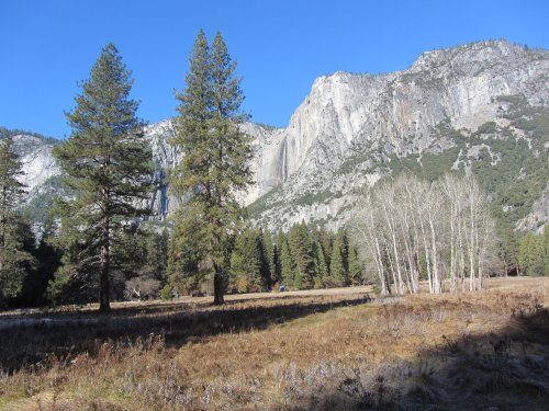 Yosemite Falls across Ahwahnee Meadow 