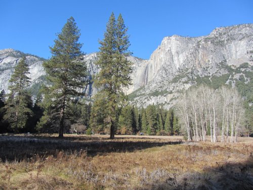 Yosemite Falls across Ahwahnee Meadow 