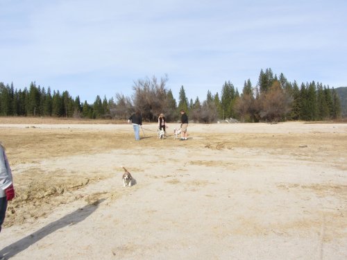 Kim, Jon & Jonny with dogs 