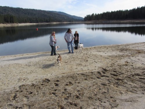 Melissa, Kim, Jon and dogs 