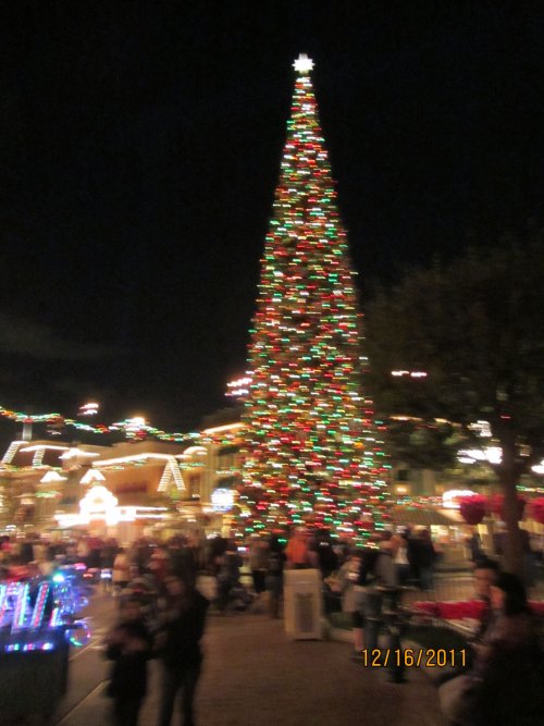 Disneyland Christmas tree 