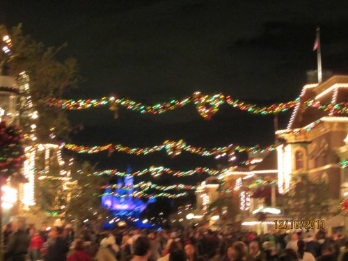 Main Street USA and Christmas decorations 