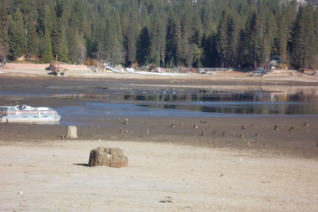 Low water level near the Forks 