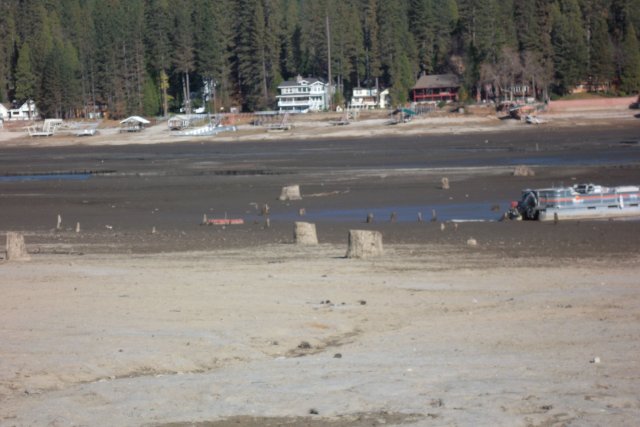 Low water level near the Forks 