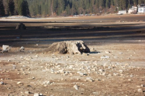Low water level near the Forks 