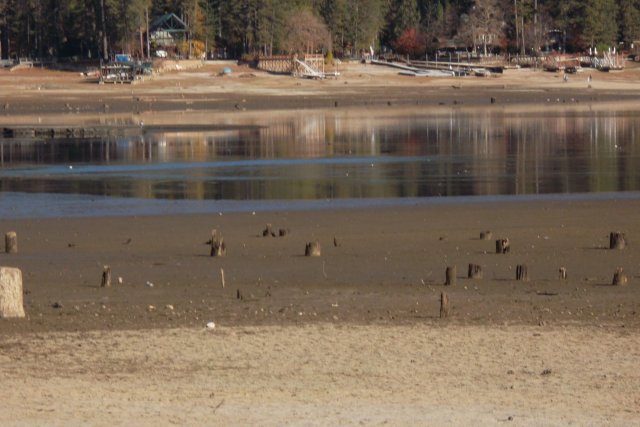 Low water level near the Forks 
