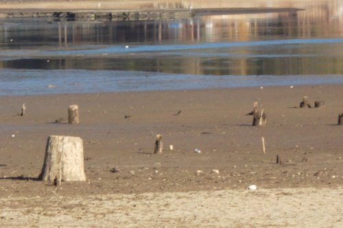 Low water level near the Forks 