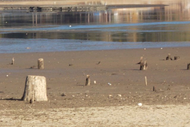 Low water level near the Forks 