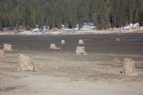 Low water level near the Forks 
