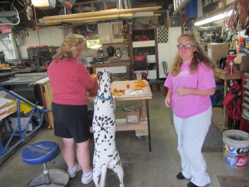 Lucky inspecting the girls work 