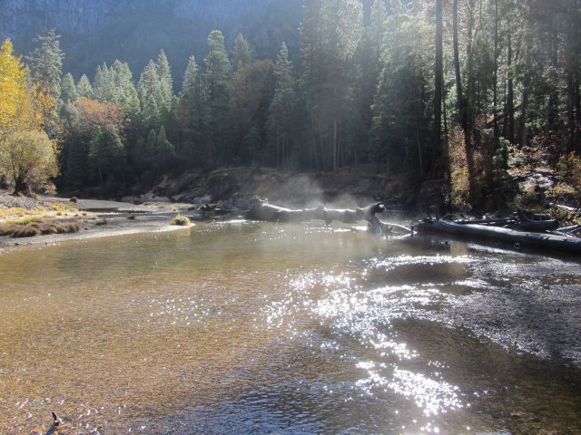 Mist over the river 