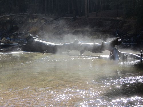 Mist over the river 