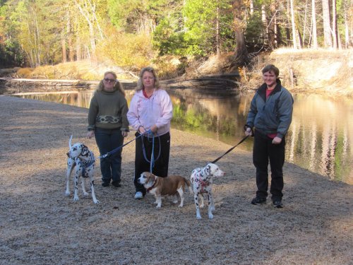 Family and dogs by the river 