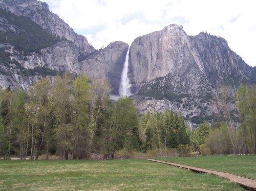 Yosemite Falls across meadow 