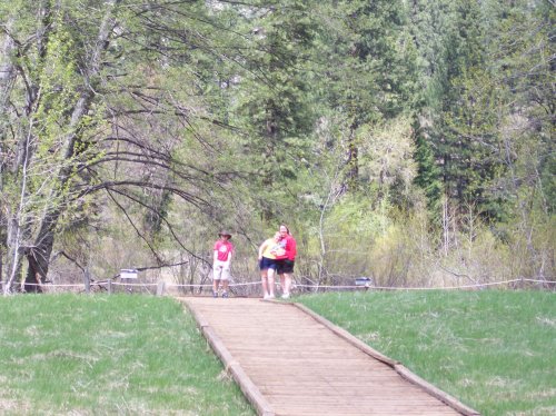 Family hiking across meadow 