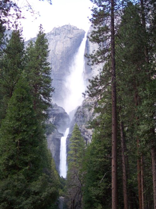 Yosemite Falls 
