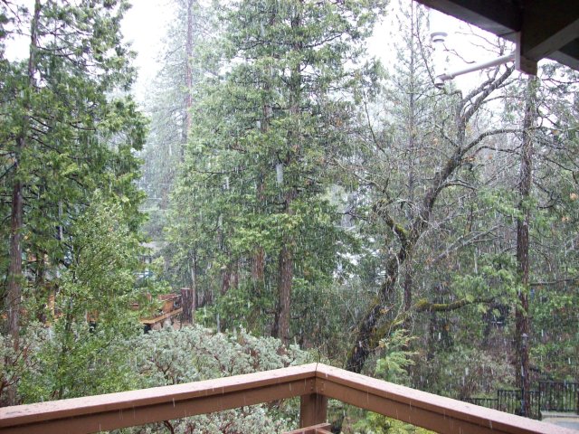 Last snow of the season 