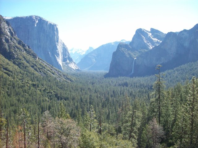 Yosemite valley 