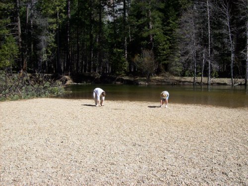 Jonny & Melissa searching for rocks 