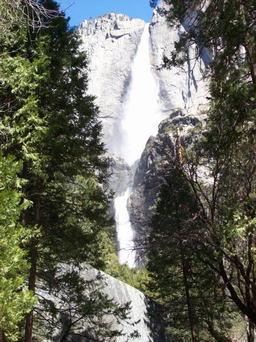 Yosemite falls 