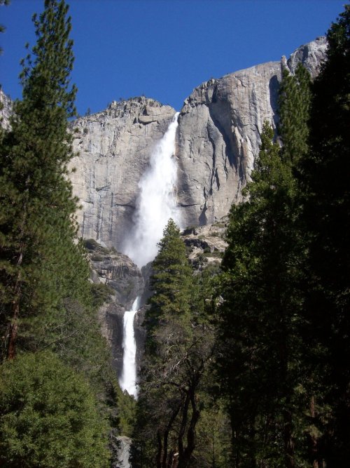 Yosemite falls 